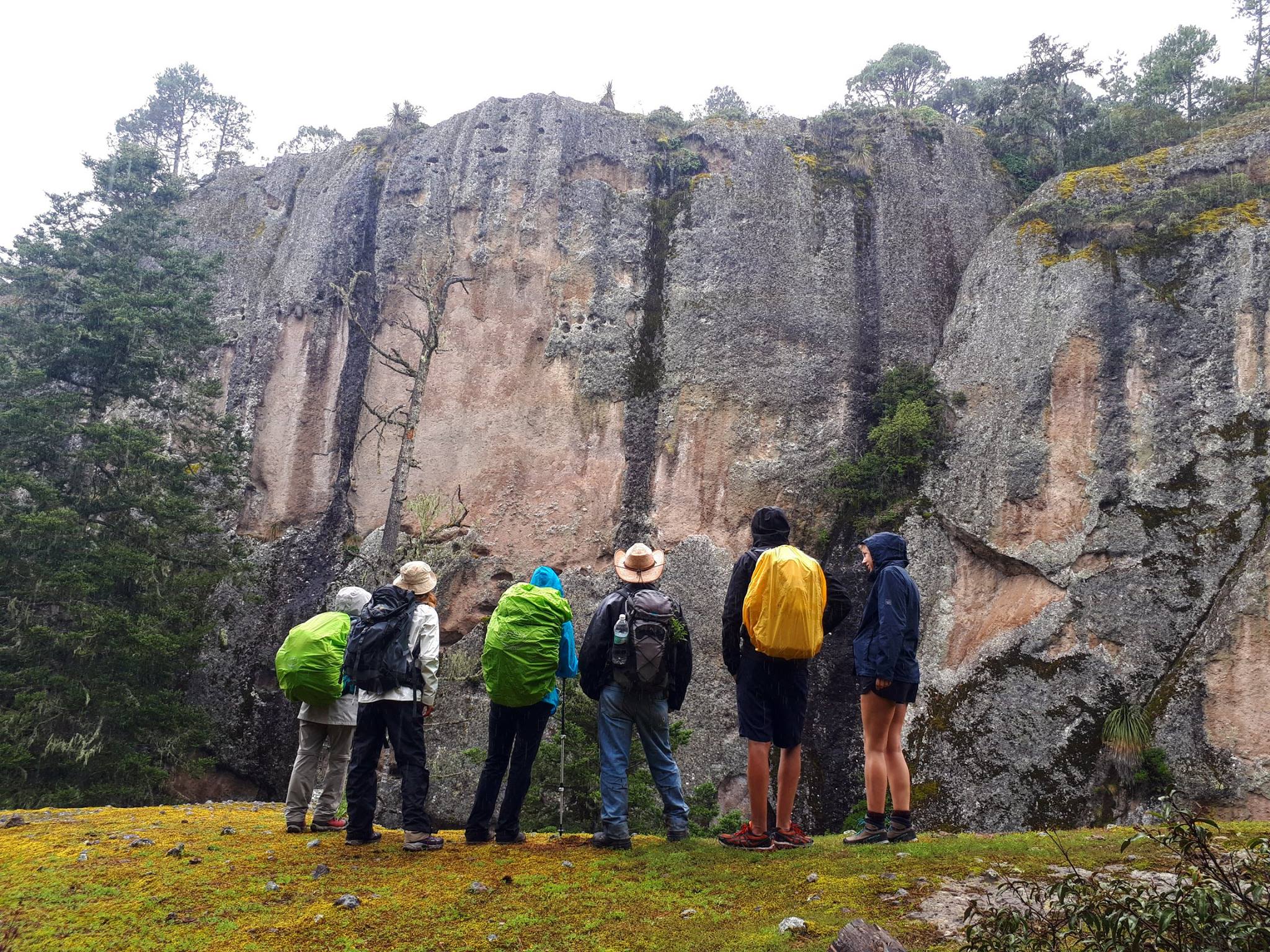 Mexico eco tours - Sierra Norte, Oaxca