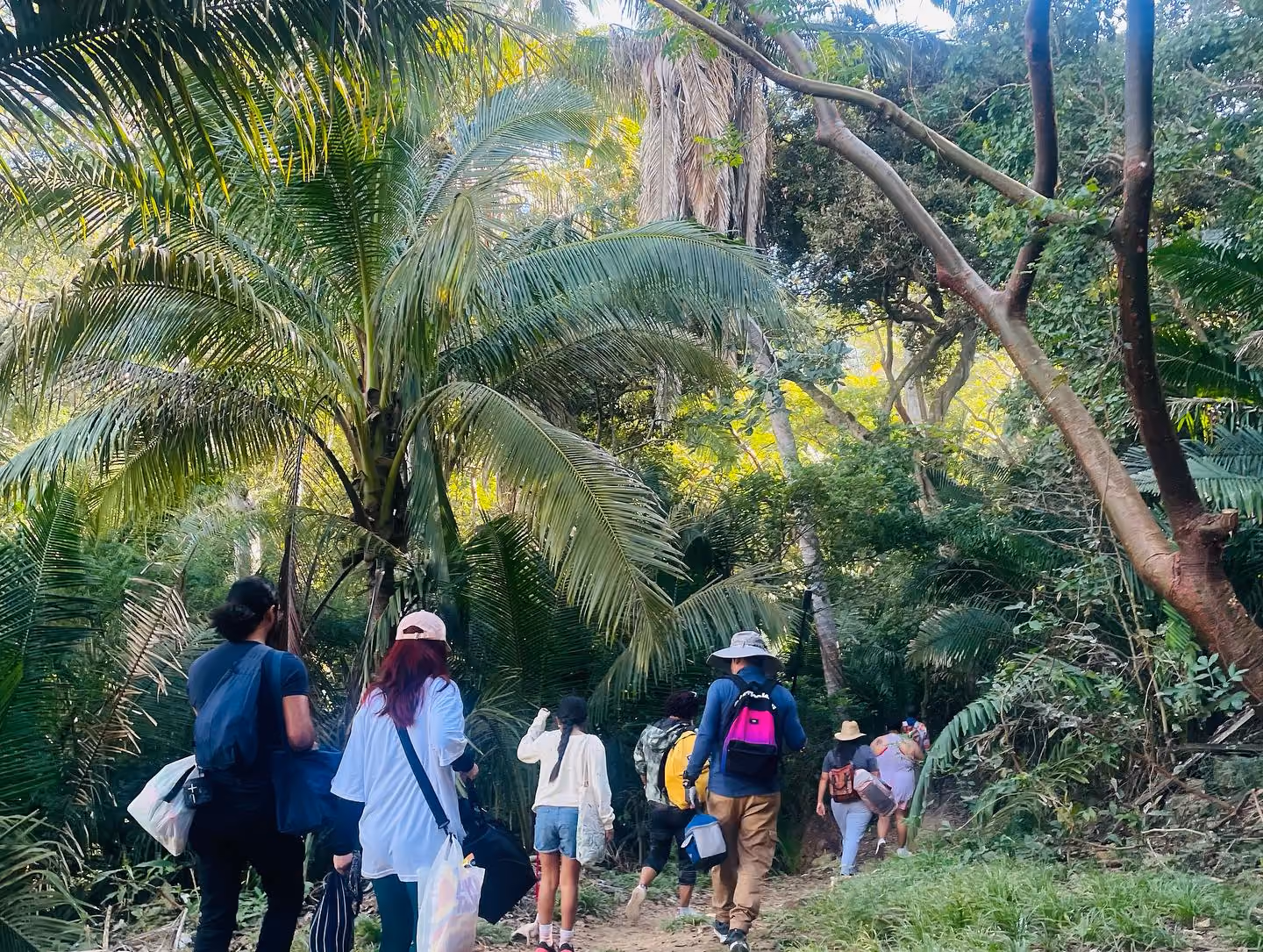 México tour walking through jungle in Nayarit