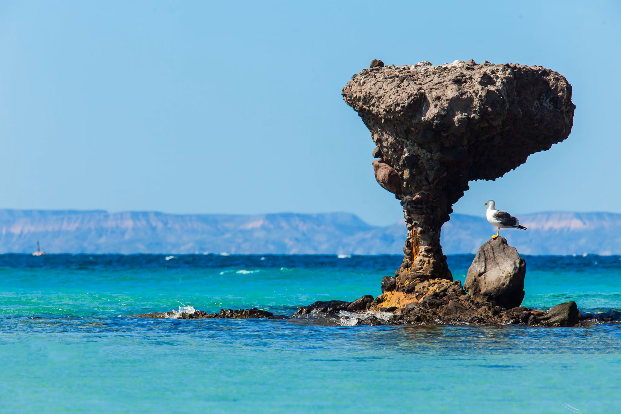 Mexico vacation packages Cabo Pulmo Baja California