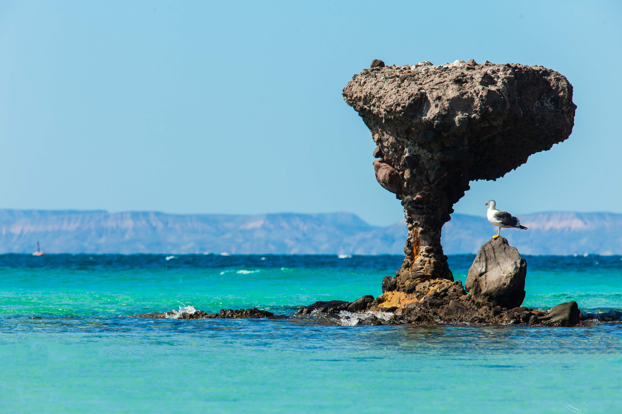 Mexico vacation packages Cabo Pulmo Baja California