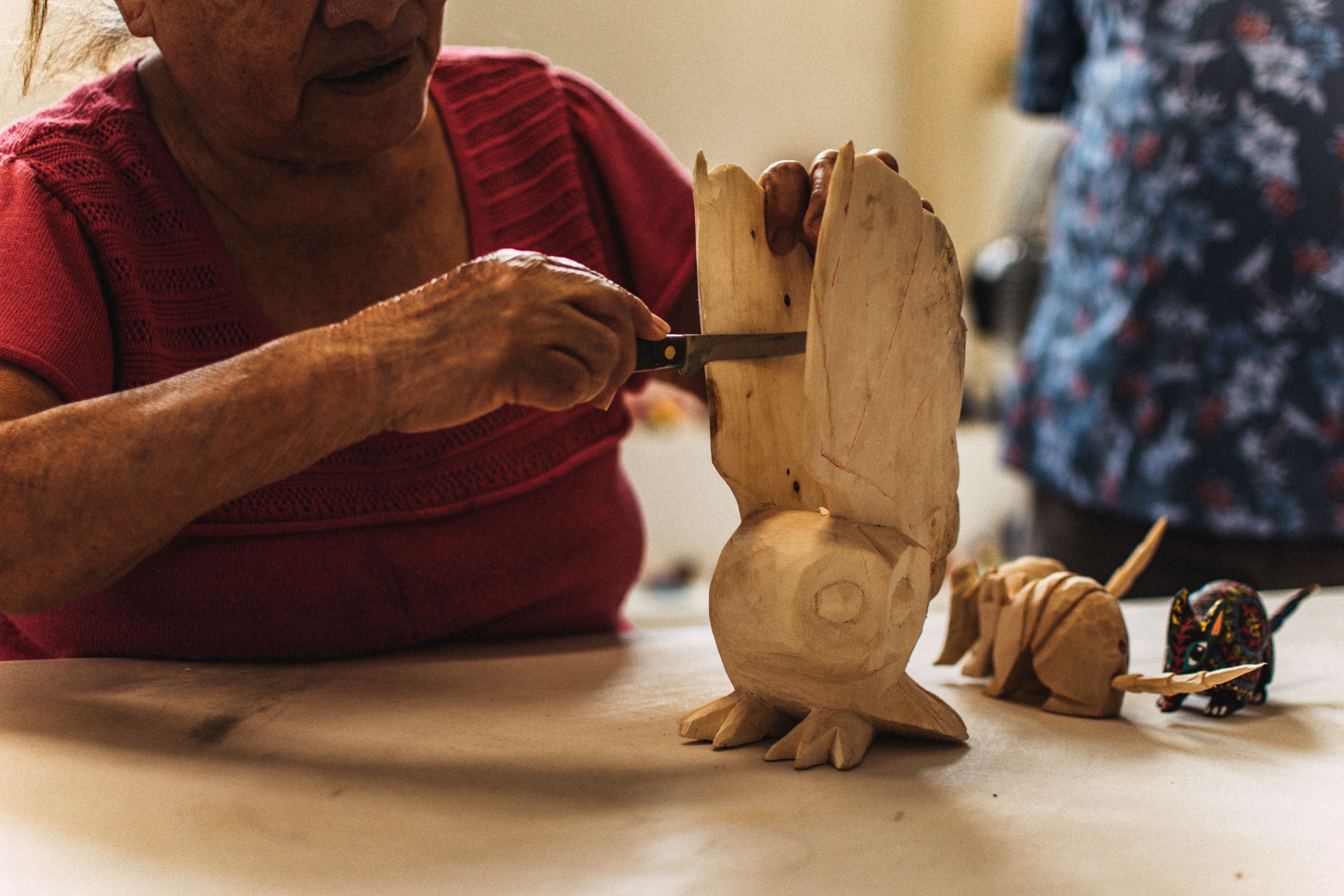 Oaxaca artisan guide alebrije workshop