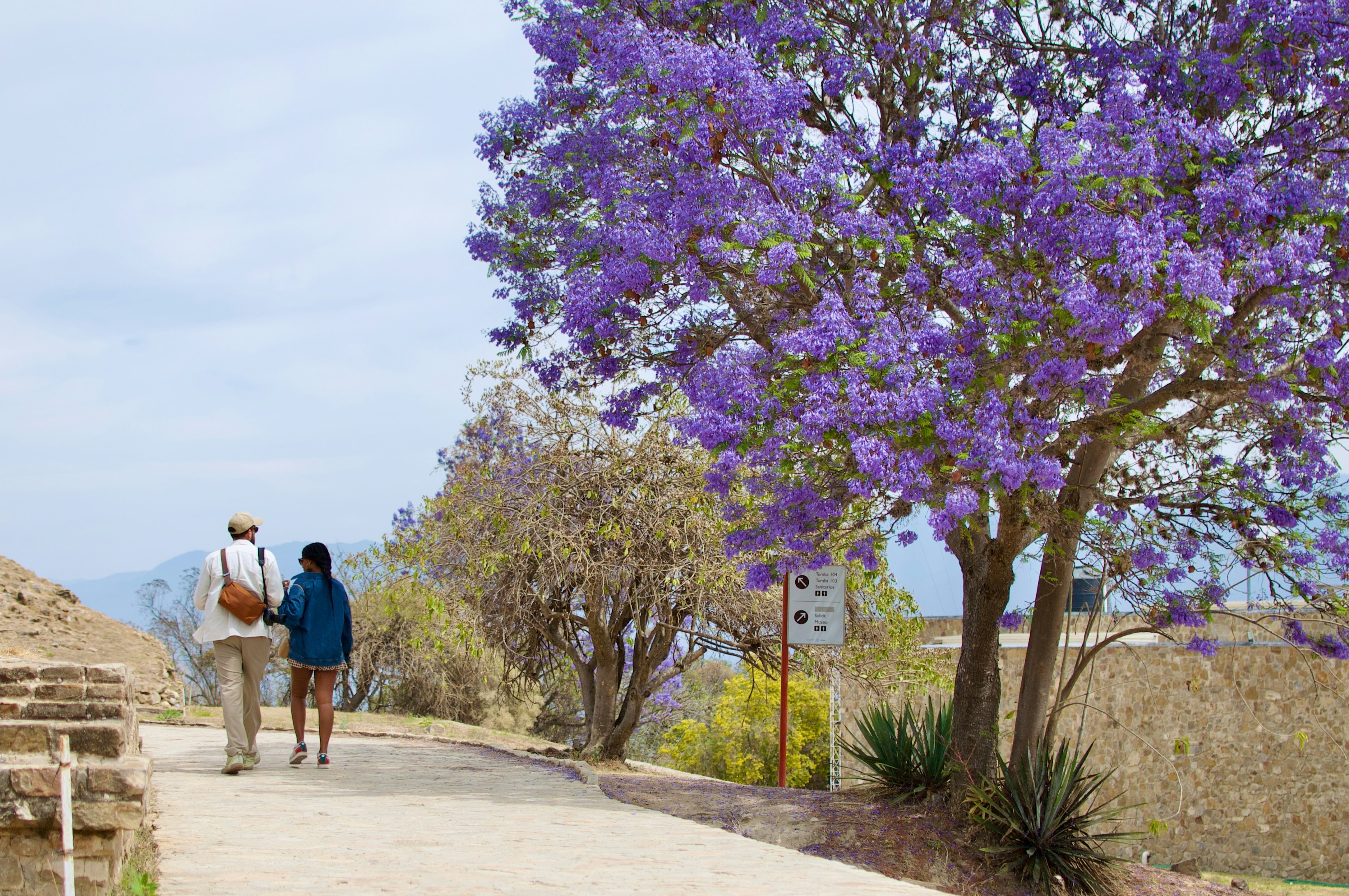 Oaxaca tours for couples walking through Monte Alban
