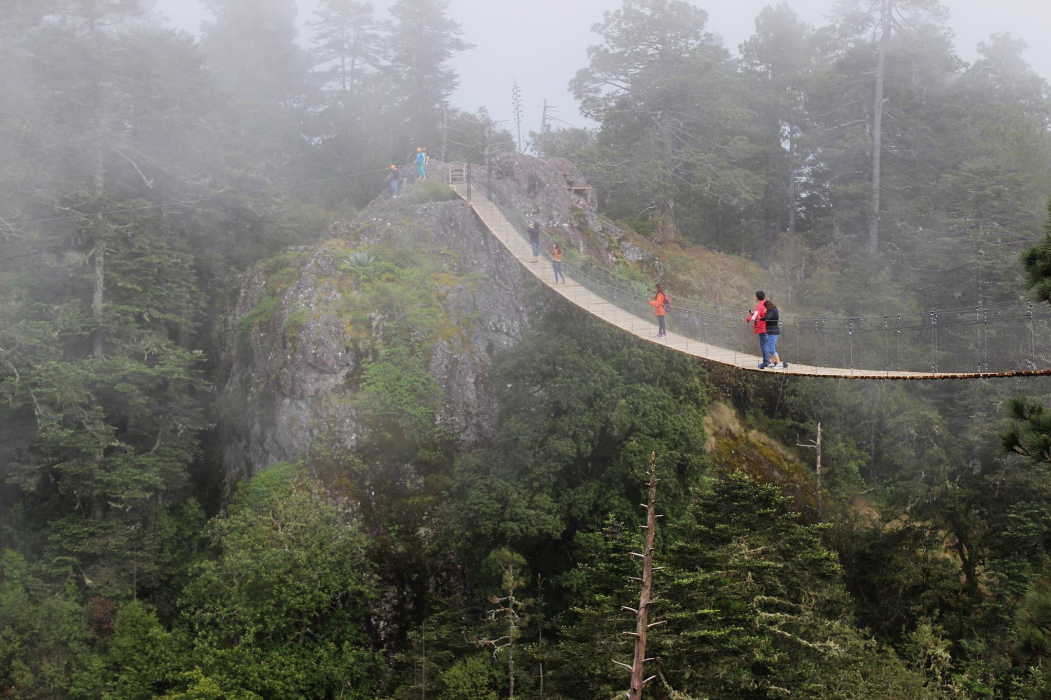 Best time for Oaxaca tours Sierra Norte