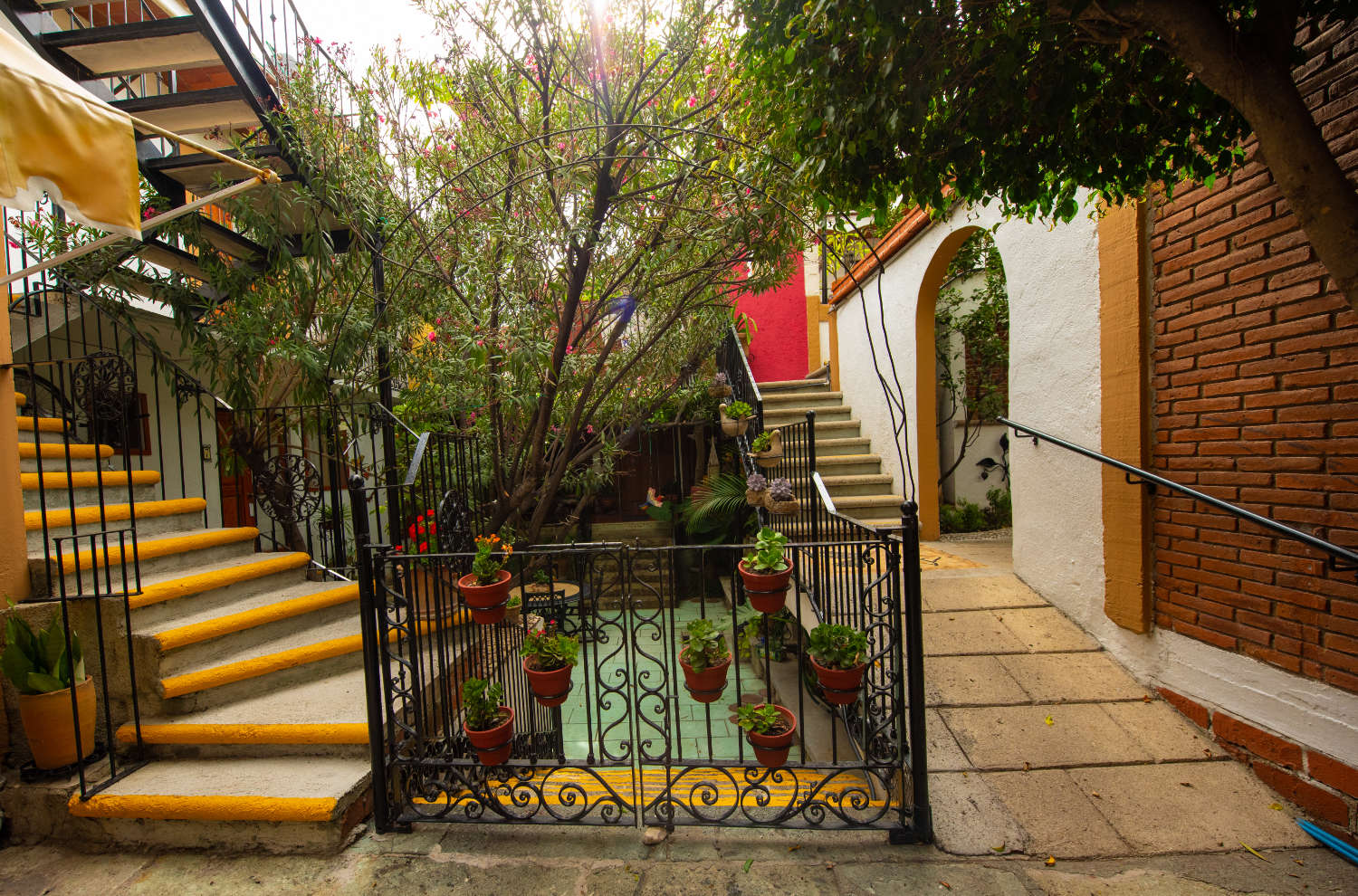 Best time for Oaxaca tours Hotel Las Mariposas