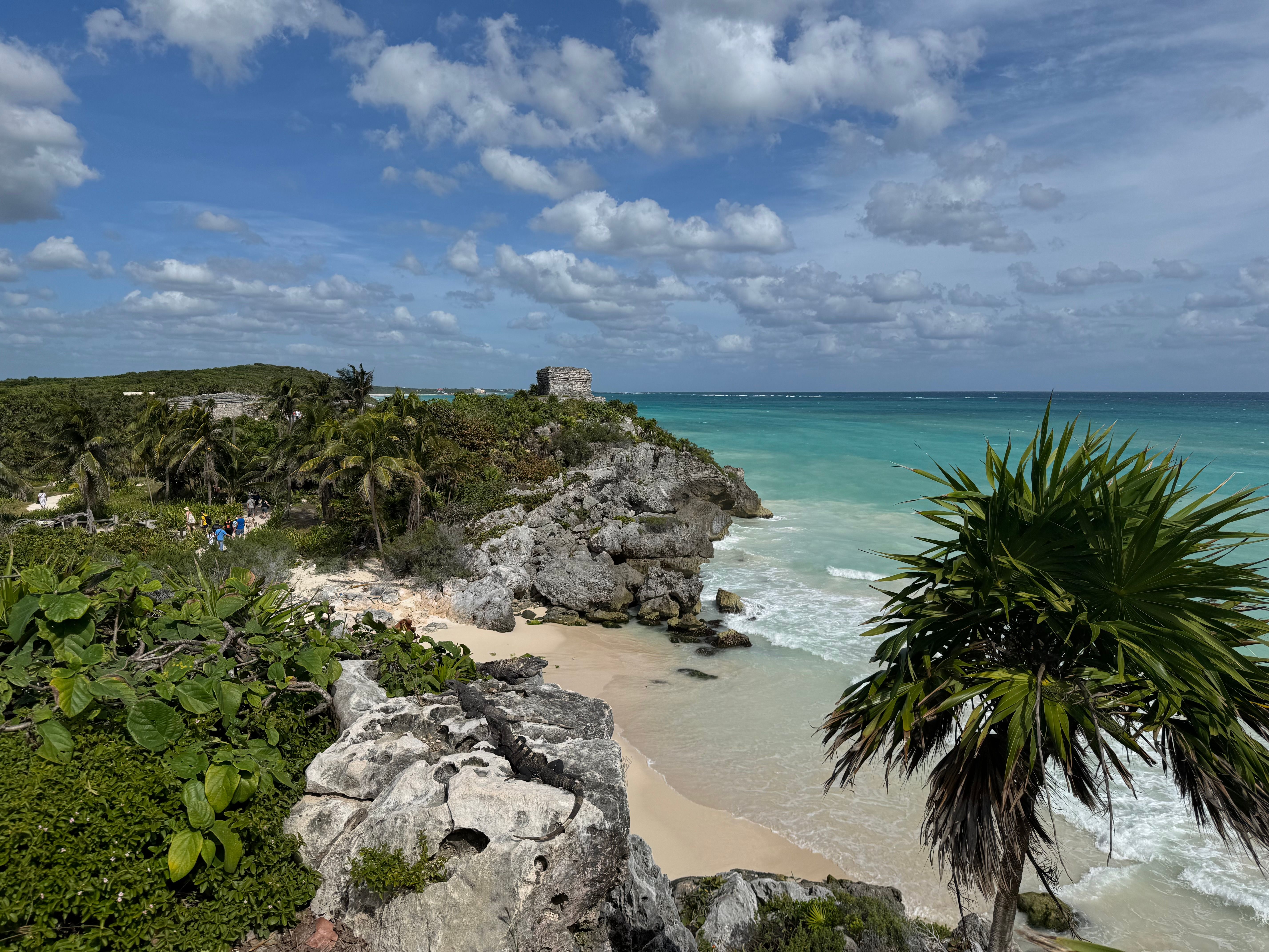 Cenote Safety Tulum Ruins