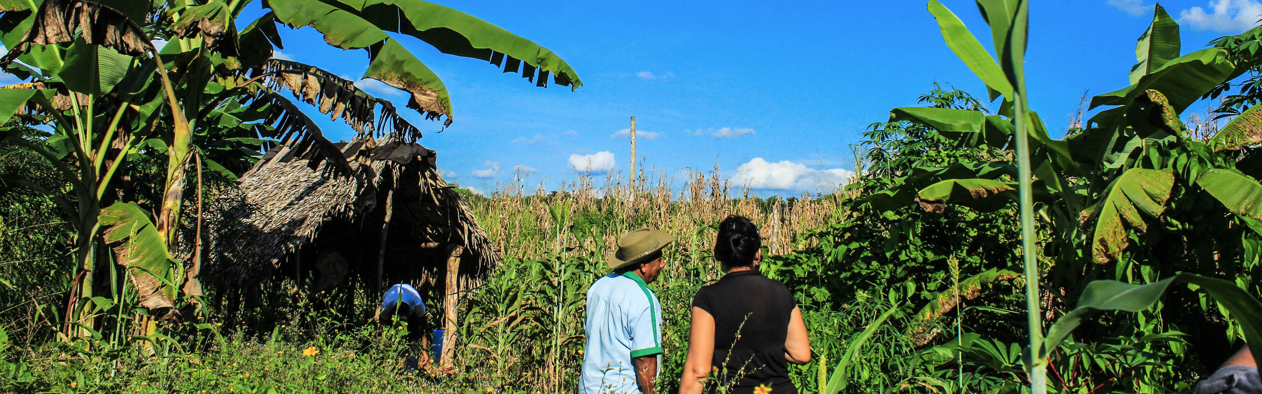 Yucatan private tours vs group tours