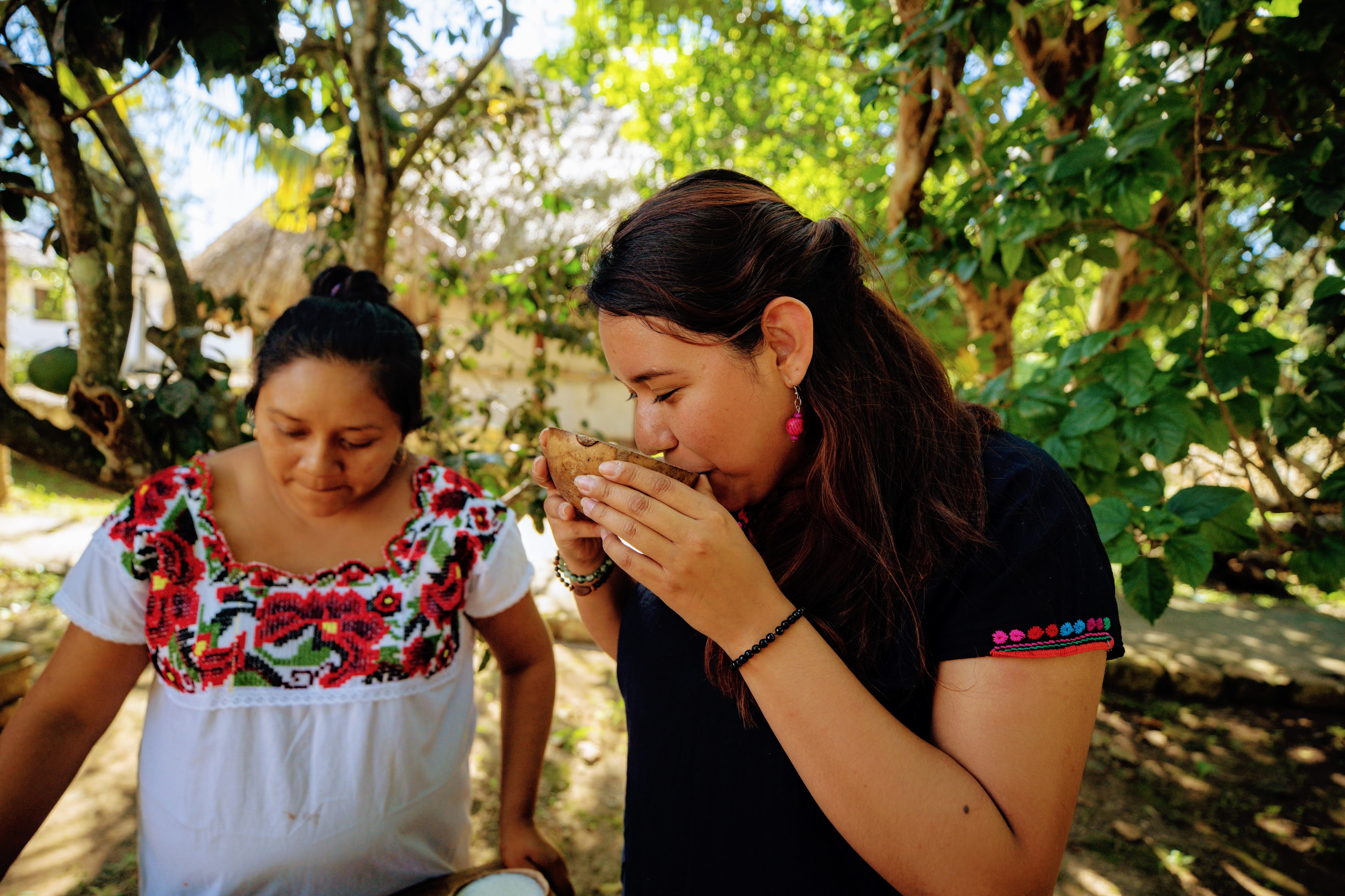 Yucatán Private and Group Tours Guide and Traveler