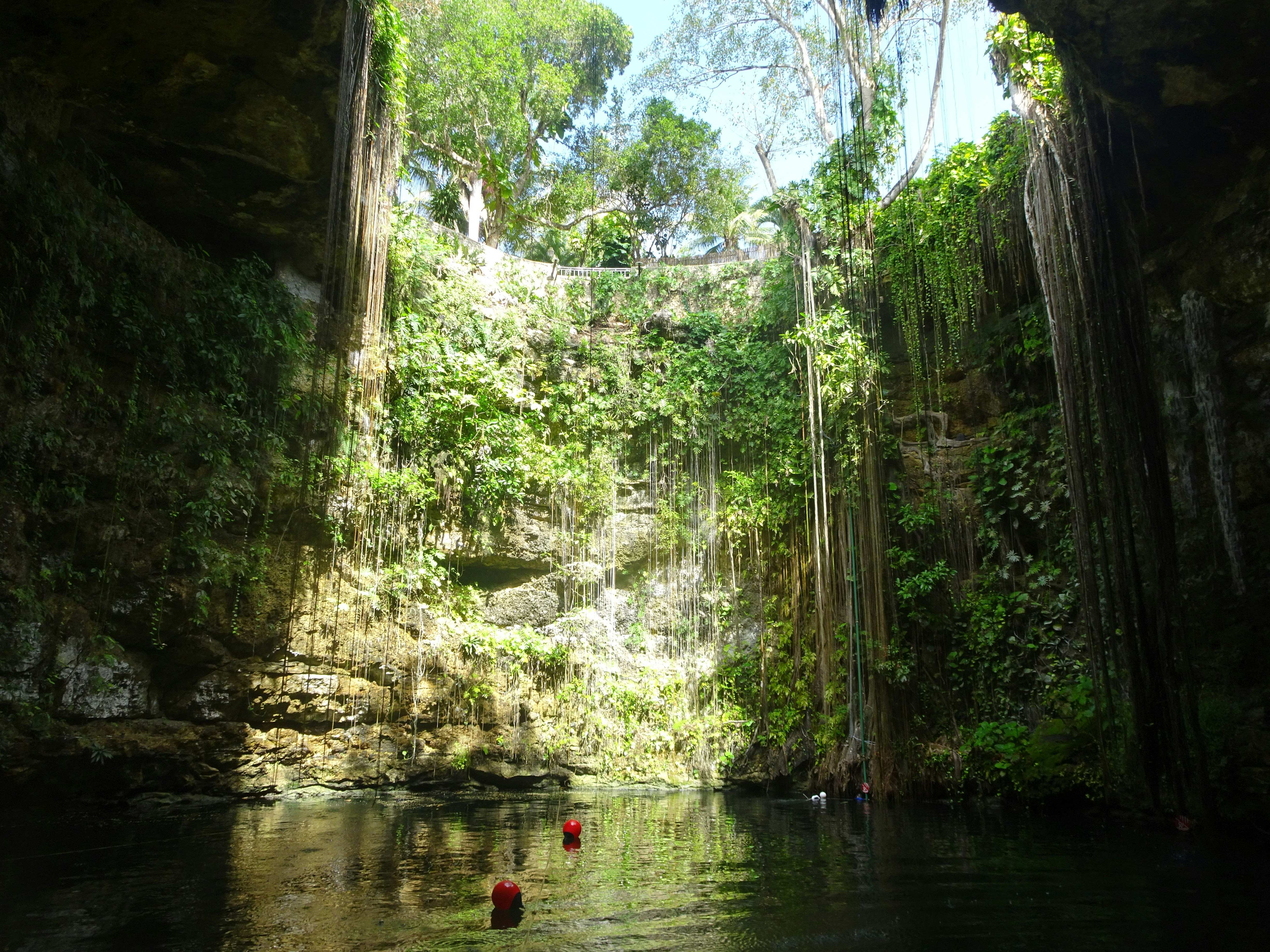 Best Cenote Tours in Yucatán for 2026 – Cenote Ik Kil in Yucatán.