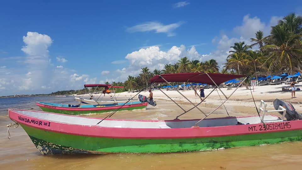 Holbox Tours and Whale Shark Season Boats by the Shore