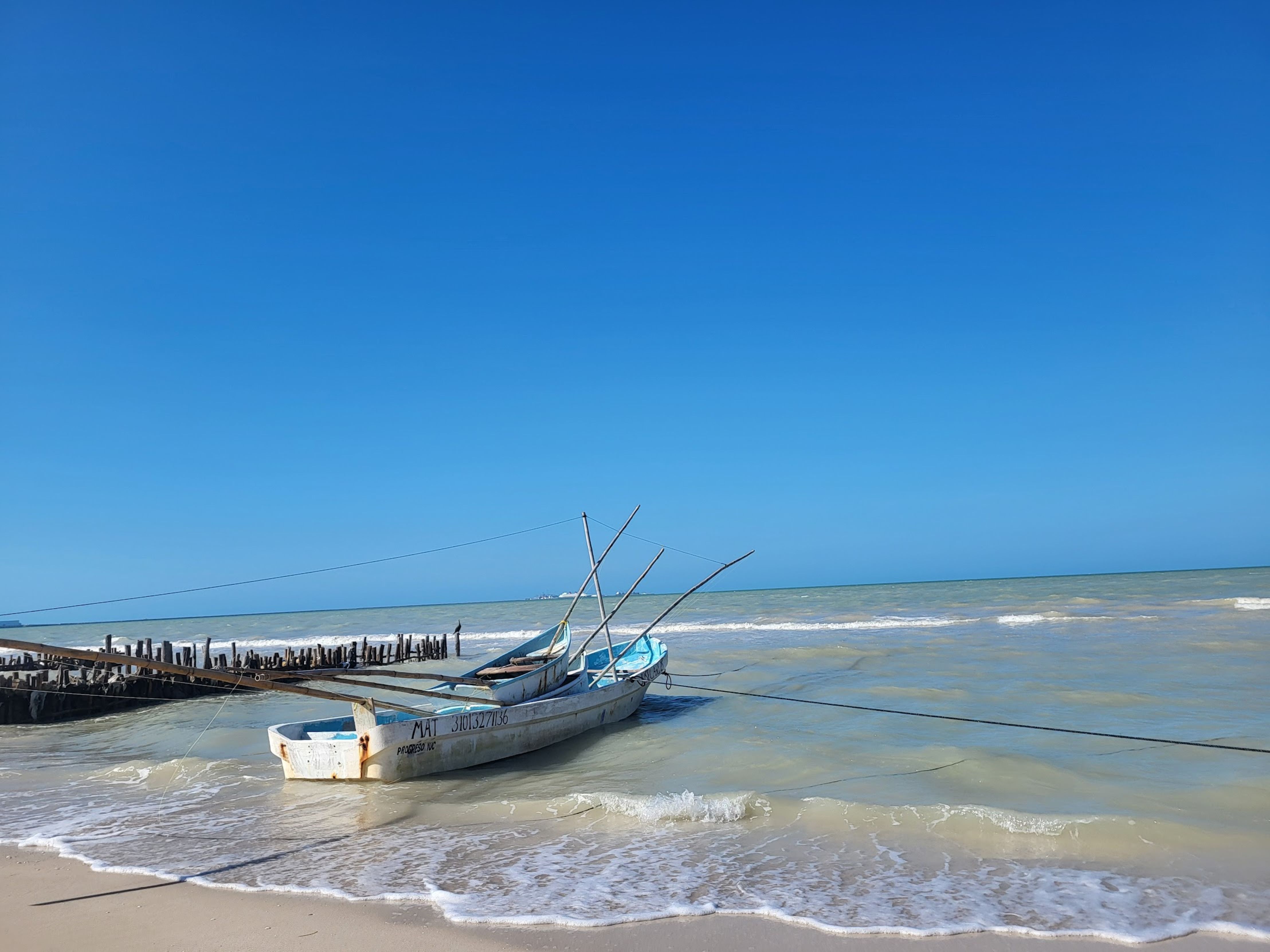Holbox Tours and Whale Shark Season Boat Tour