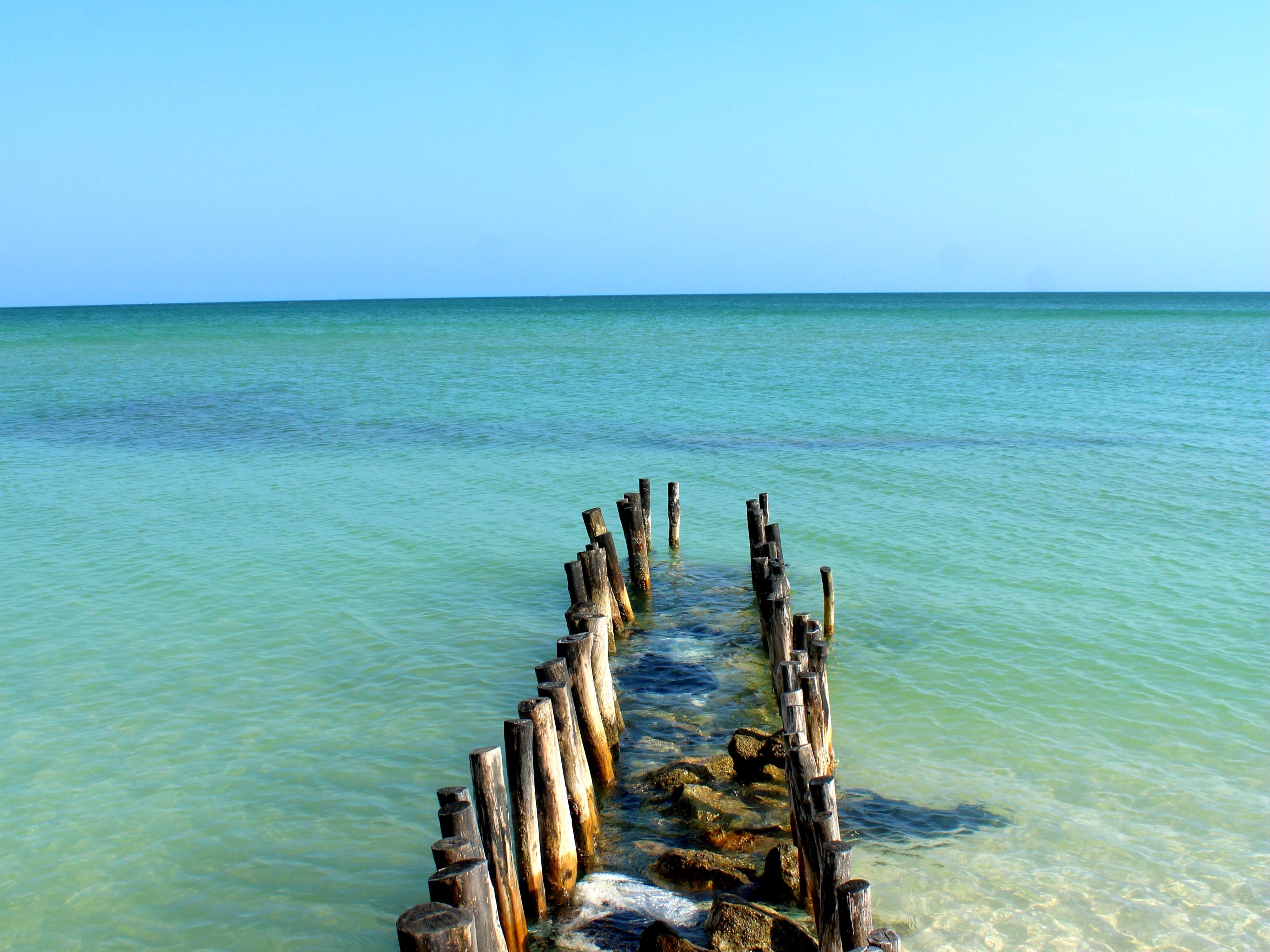 Holbox Tours