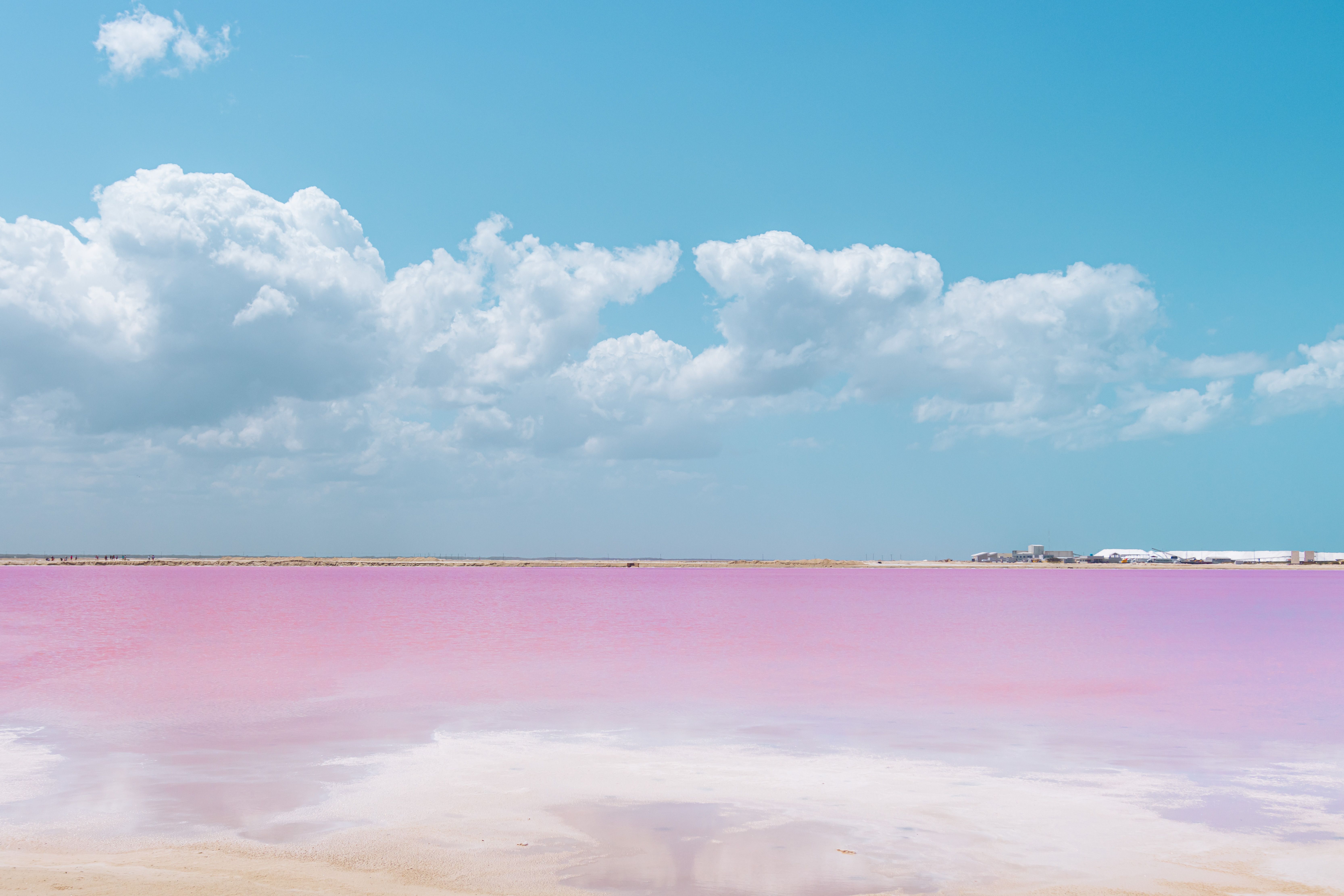 Río Lagartos Tour Las Coloradas