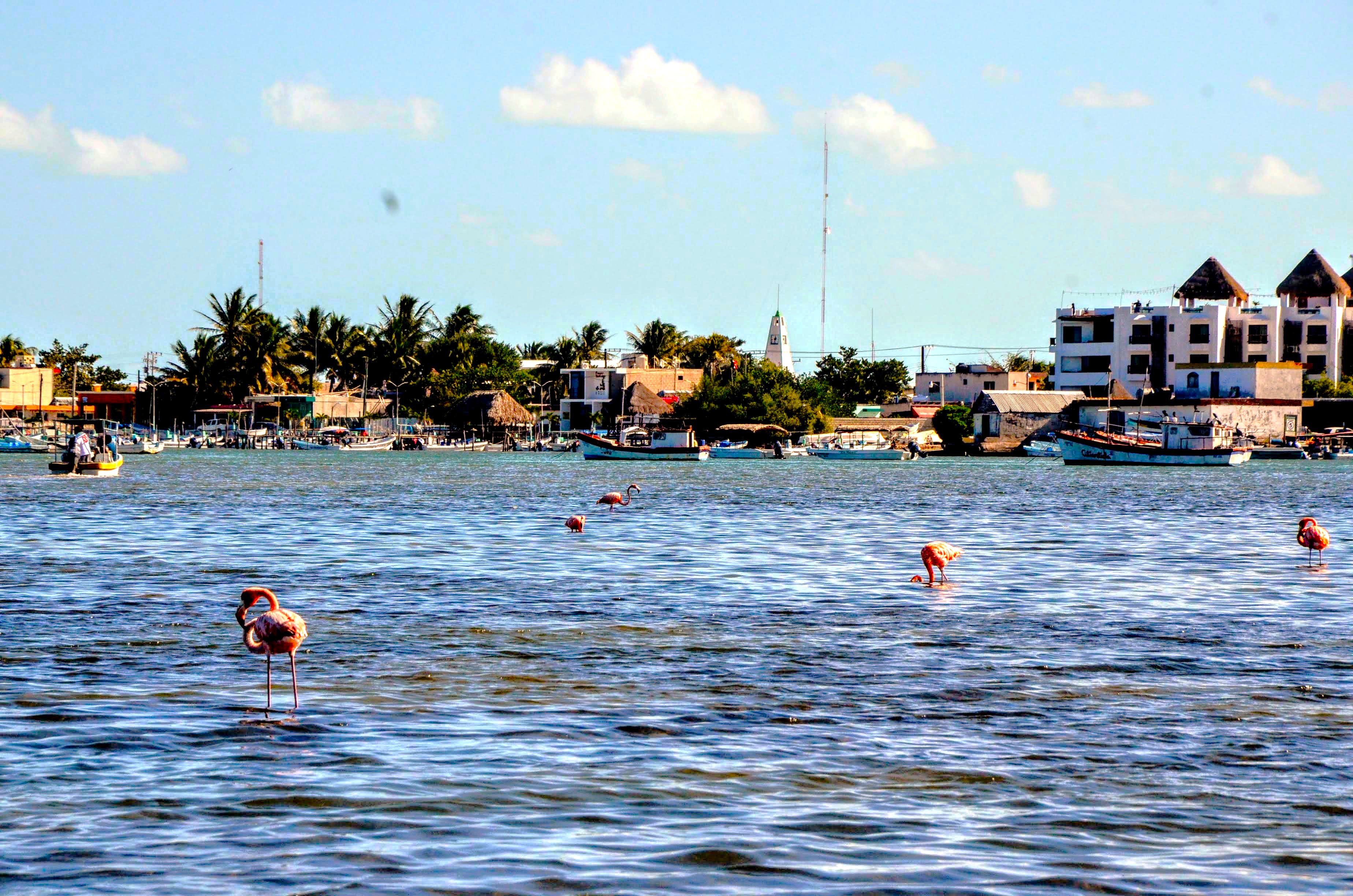 Río Lagartos Tour Town of Río Lagartos