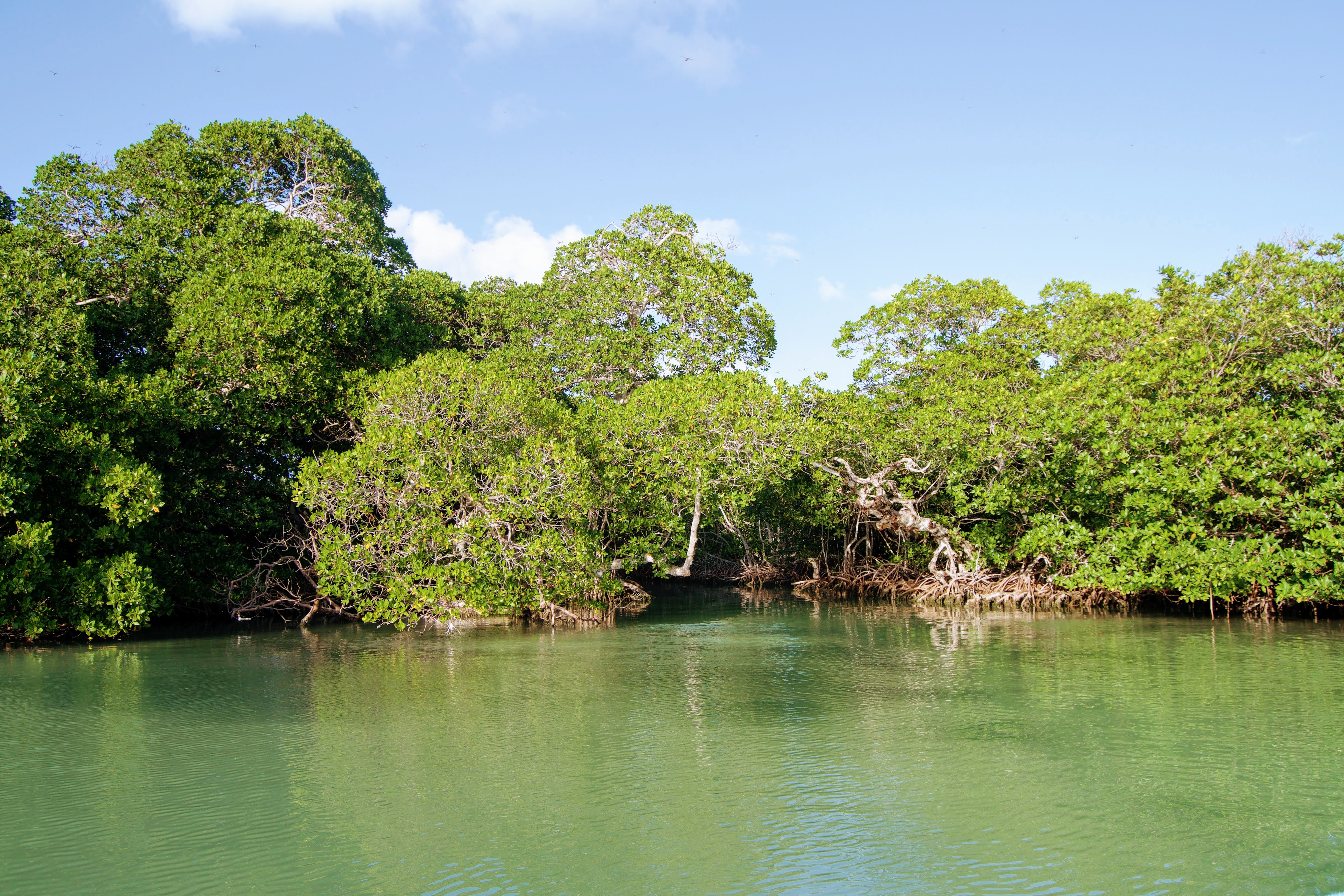 Sian Ka'an Tours Guide Sian Ka'an Reserve