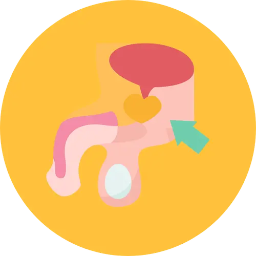 cancer de la prostate