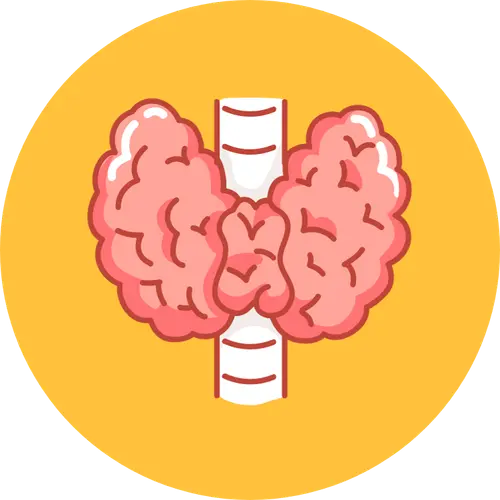 maladies endocriniennes