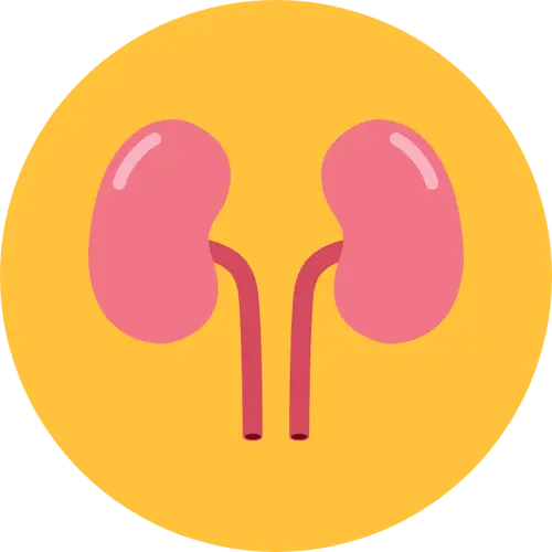 maladies renales outch