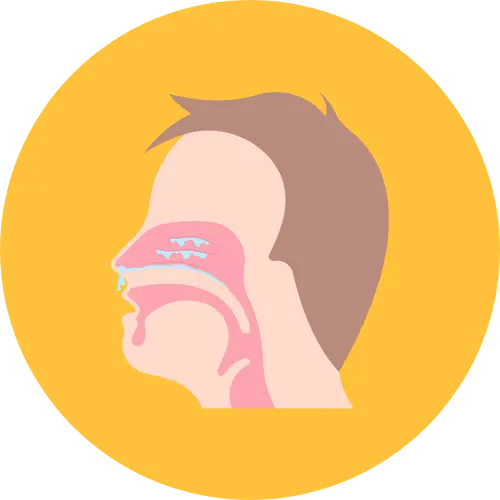 maladies rhinitiques