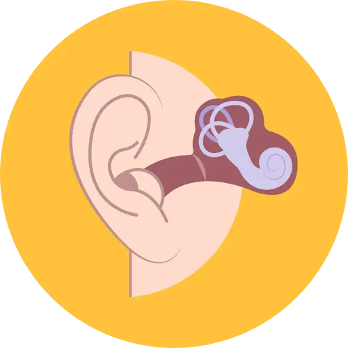 Oto-rhino-laryngologiques