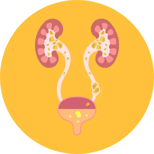 maladies urologiques