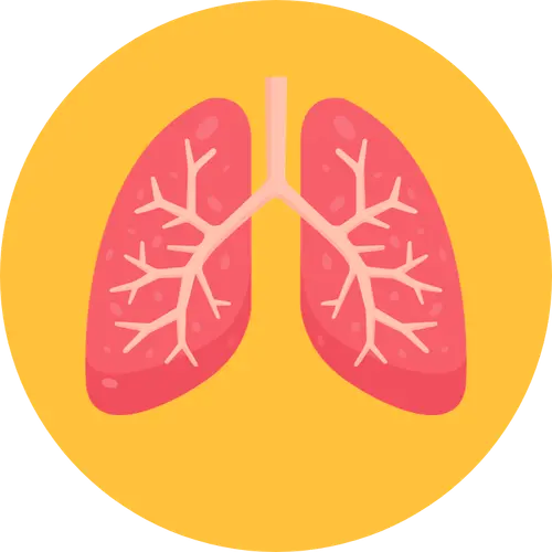 maladies respiratoires