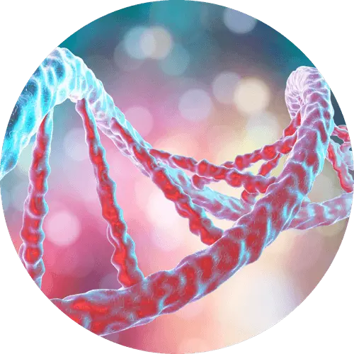 maladies génétiques de la peau