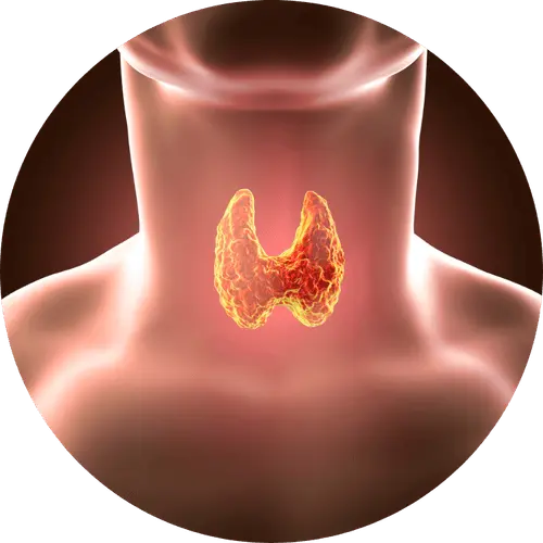 chronic migraines and hormones outch.webp