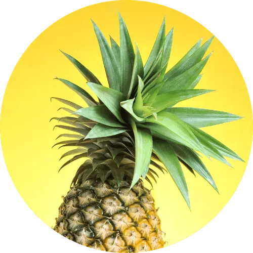 alimentation et maux de tete conseils