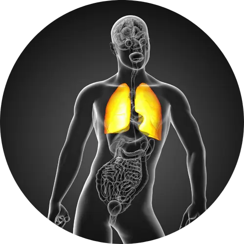 maladies inflammatoires respiratoires
