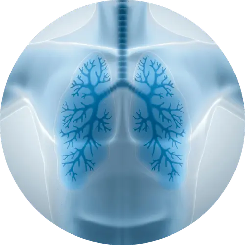 maladies neuromusculaires respiratoires