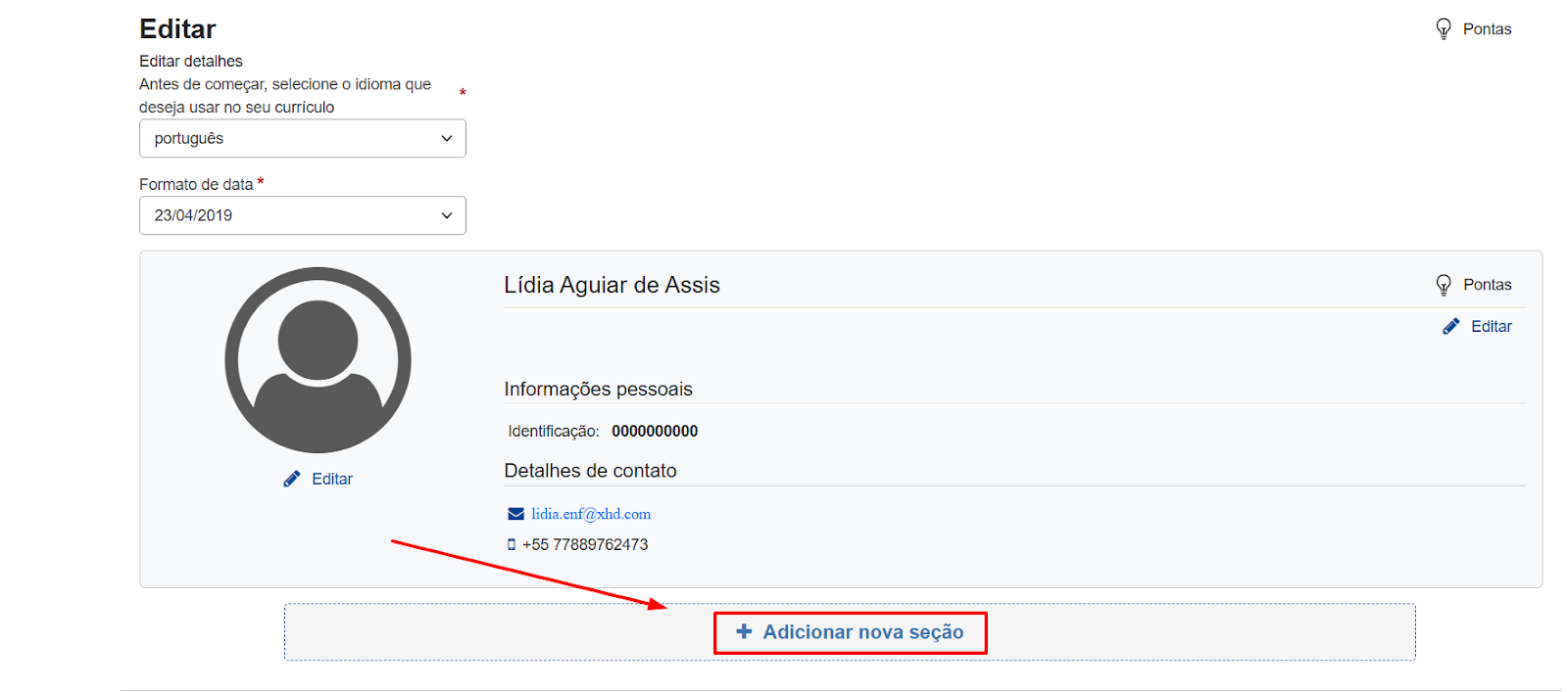 Como adicionar uma nova seção no CV Europass