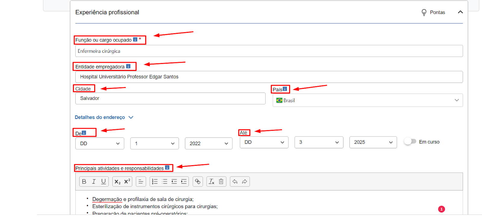 Visão geral de como incluir as experiências profissionais no CV