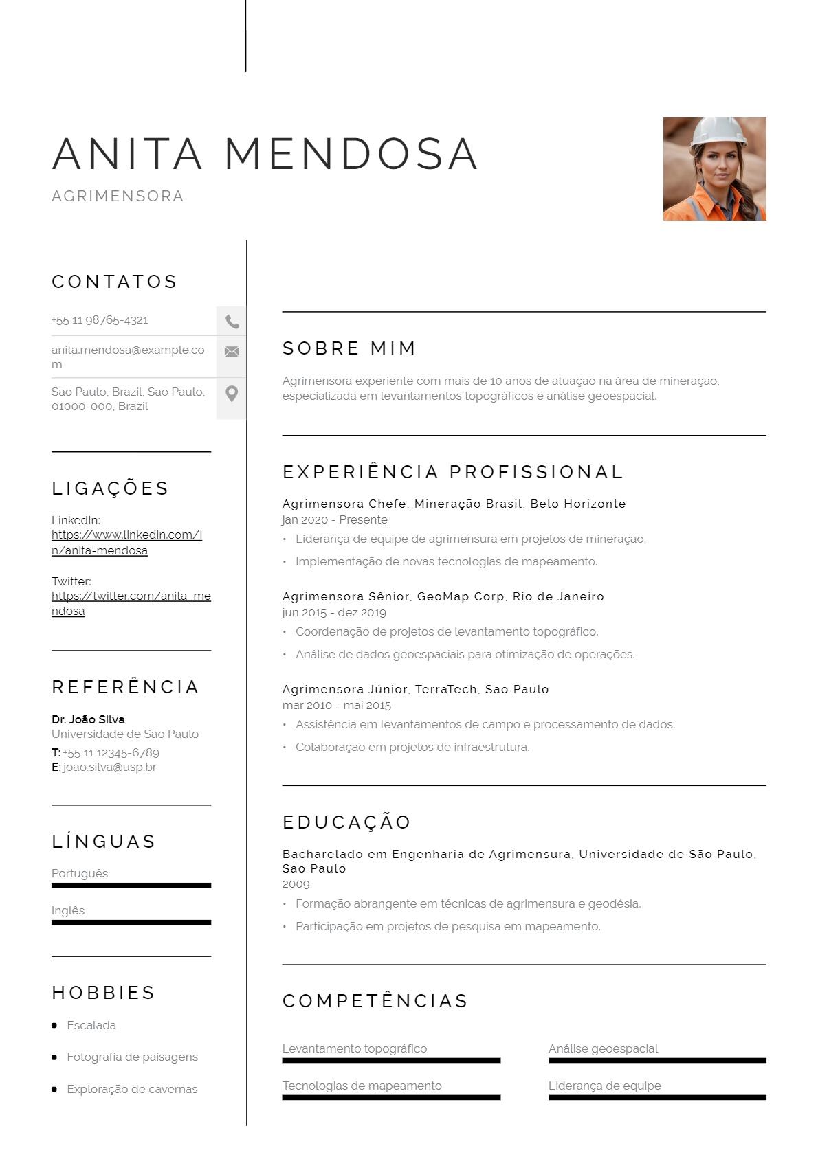 Currículo de agrimensor para mineração