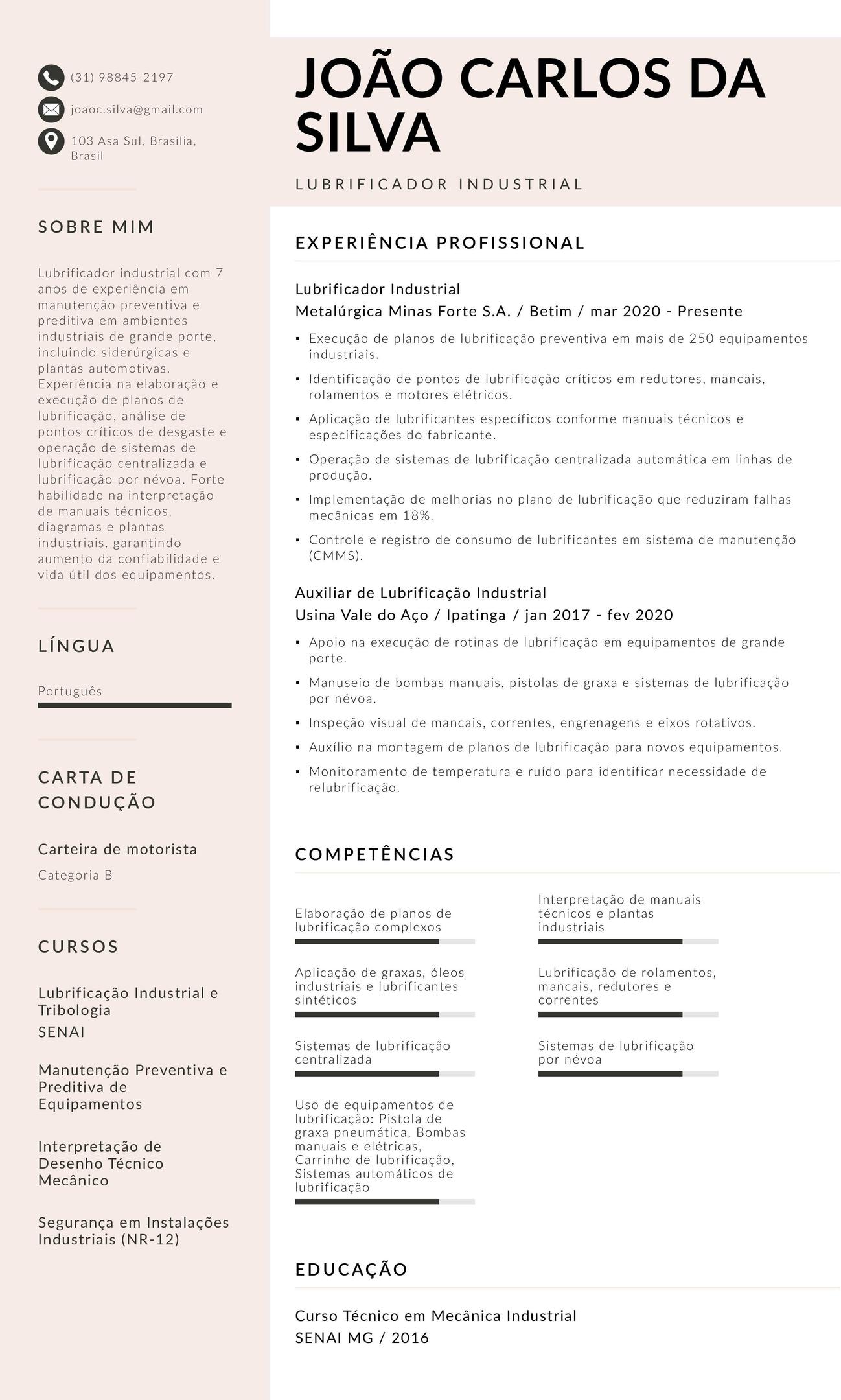 Exemplo de CV de lubrificador industrial