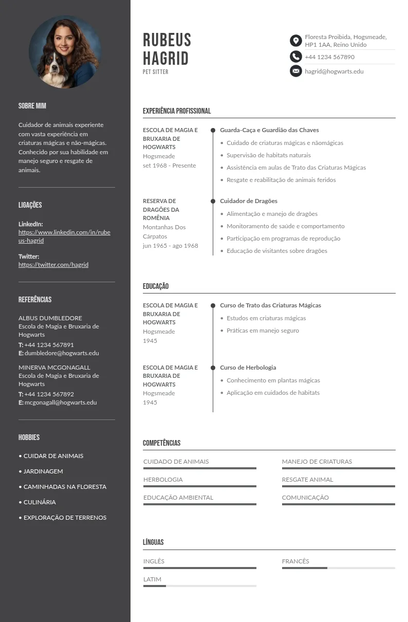 Modelos de CV de pet sitter + fórmula PETS para se destacar