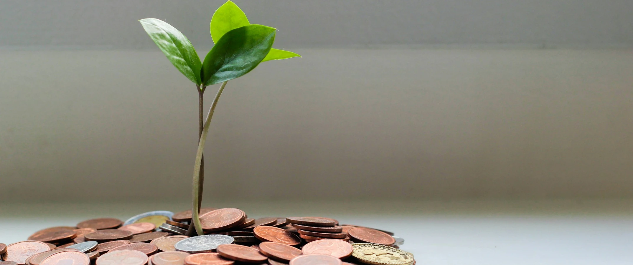 7 ukazatelů, podle kterých poznáte zdravý crowdfundingový projekt