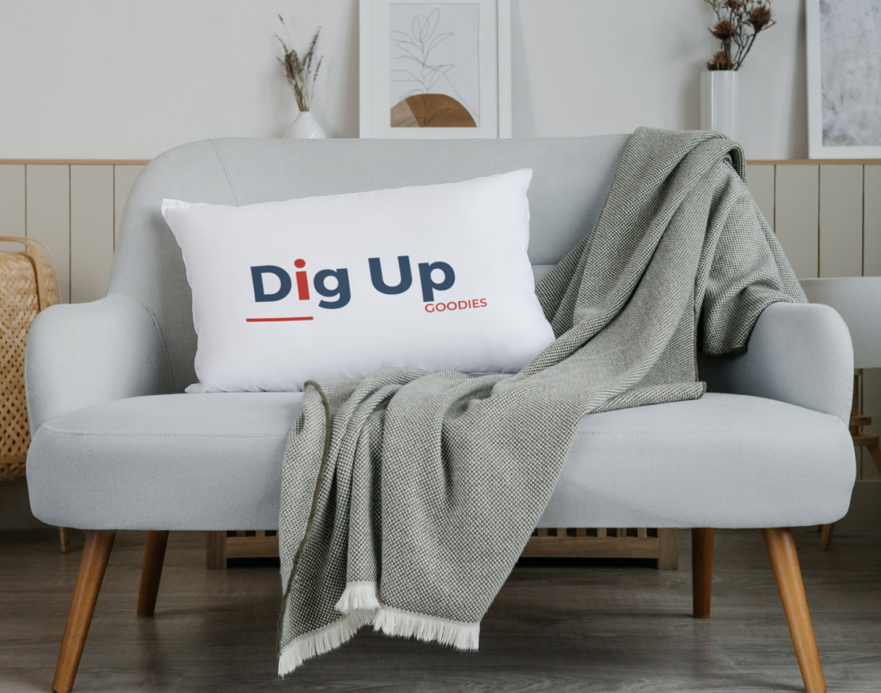 visuel d'un coussin digup