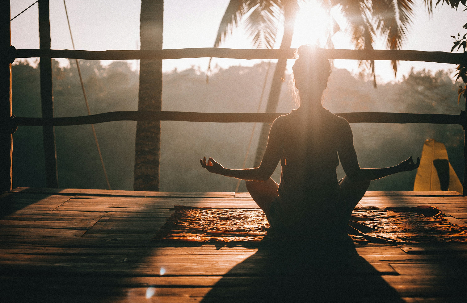 333_GO_application_Drakkar