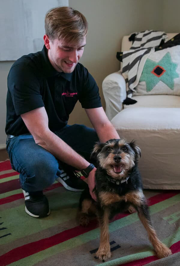 Pink Zebra mover petting a dog