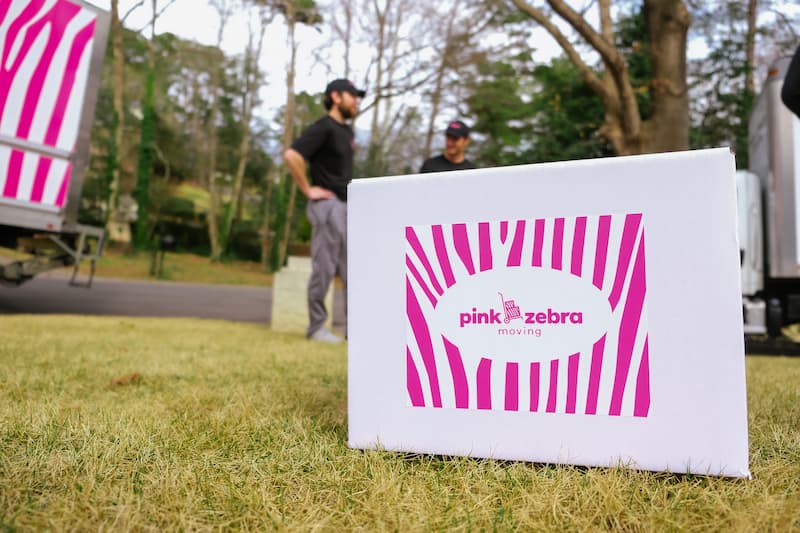 Pink Zebra moving box
