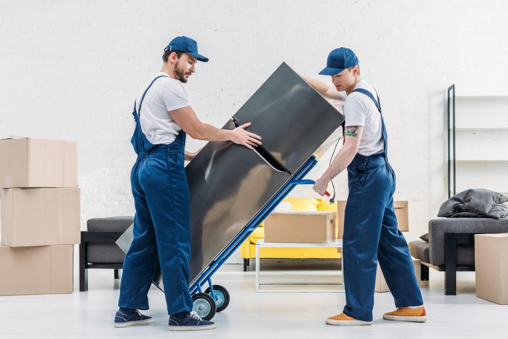 professional everyday movers