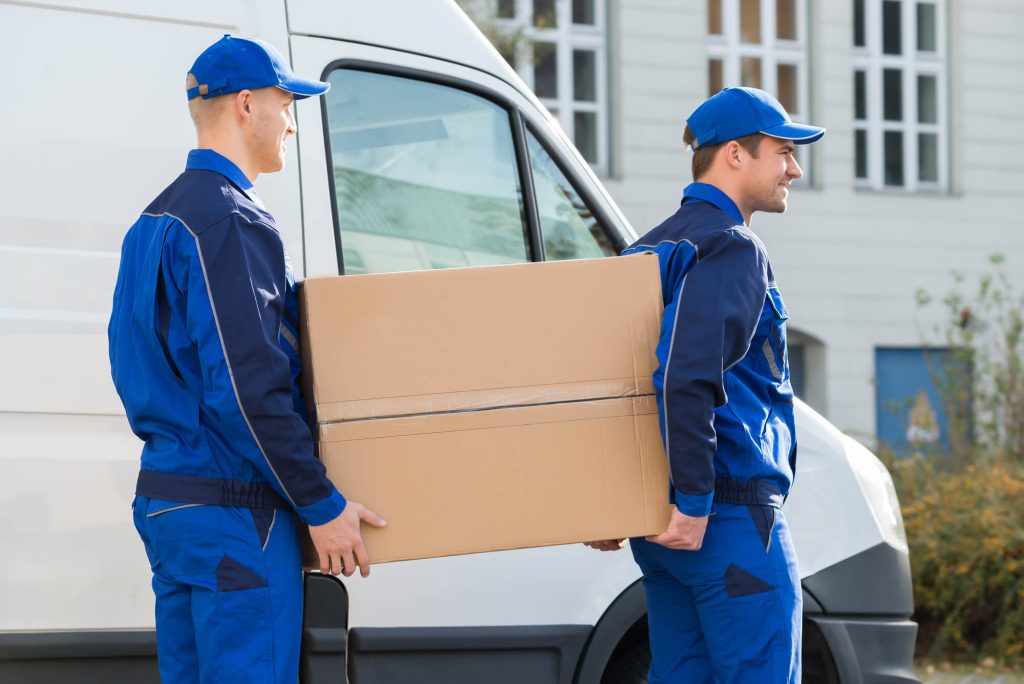 everyday movers at work