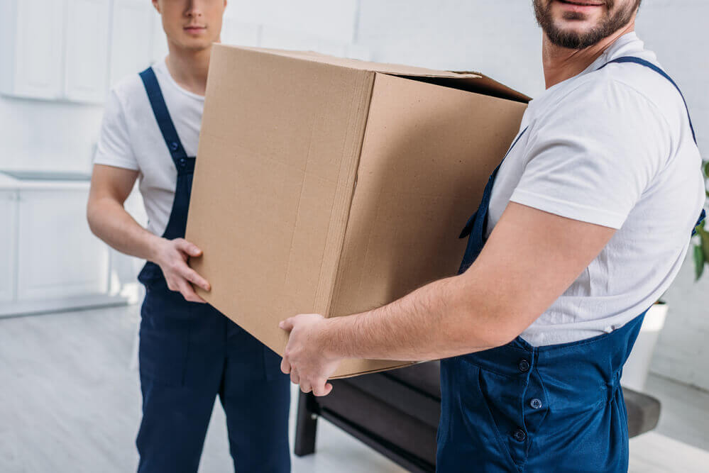 movers in Wilmington NC helping to carry boxes