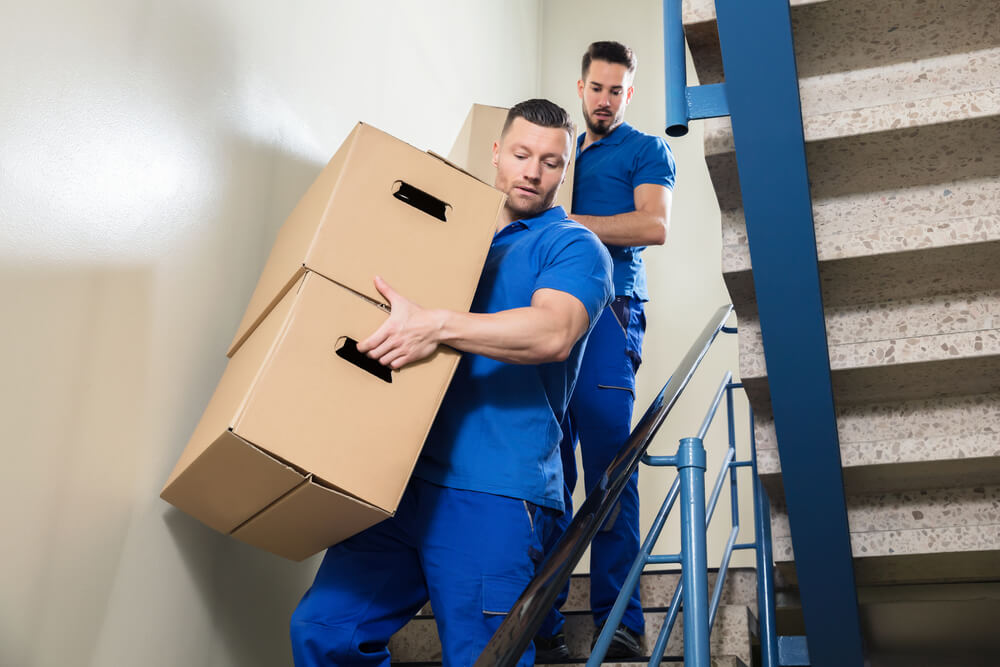Denver mover carrying boxes down the stairs.