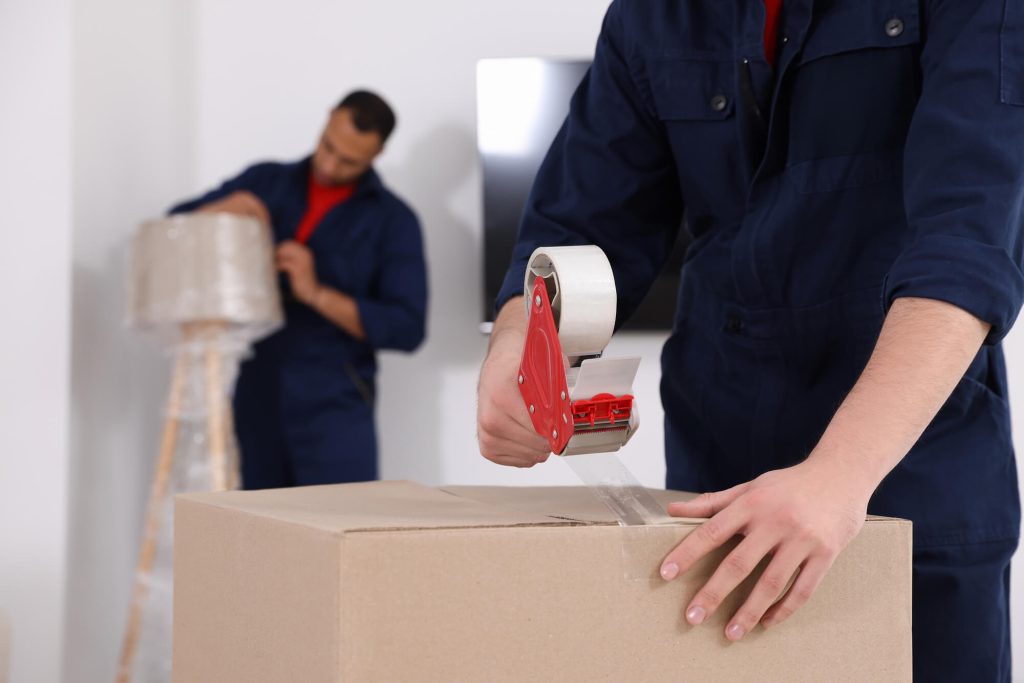 Professional Packing Services