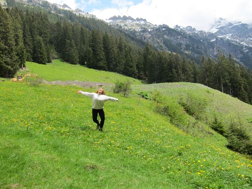 beautiful green landscape