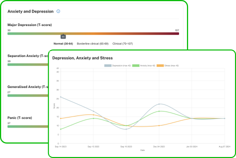 Green computer terminal window icon with a command prompt symbol.