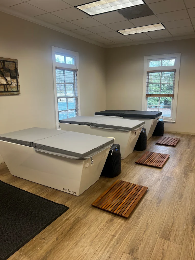 The Healing Power of Hormesis: Good Stress