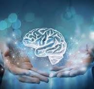 Building and Maintaining A Better Brain: The Nutrients You Need