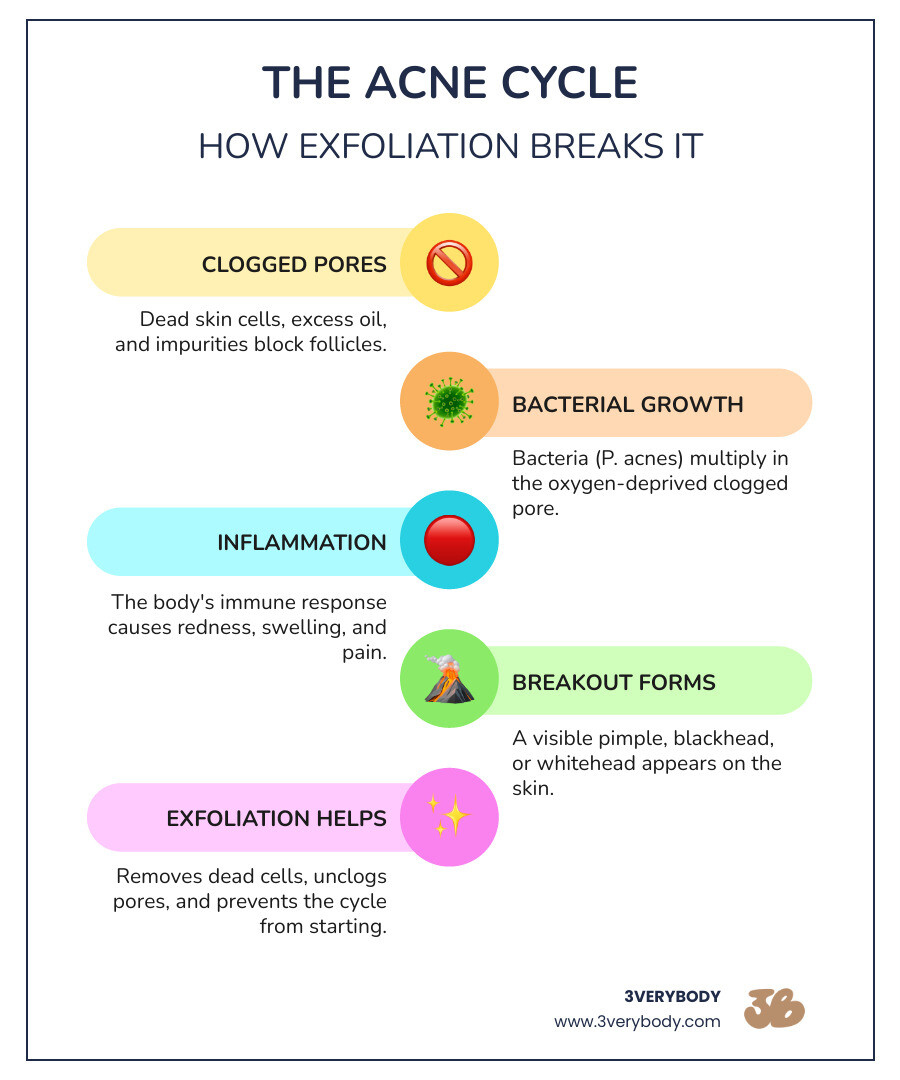 Infographic showing the acne cycle: clogged pore leads to bacteria buildup leads to inflammation leads to breakout, with exfoliation breaking the cycle at the clogged pore stage. Headers in all caps: "HOW ACNE FORMS" and "HOW EXFOLIATION HELPS". Simple cream icons on brown background showing the process. - exfoliator for acne skin infographic infographic-line-5-steps-colors Infographic showing the acne cycle: clogged pore leads to bacteria buildup leads to inflammation leads to breakout, with exfoliation breaking the cycle at the clogged pore stage. Headers in all caps: "HOW ACNE FORMS" and "HOW EXFOLIATION HELPS". Simple cream icons on brown background showing the process. - exfoliator for acne skin infographic infographic-line-5-steps-colors